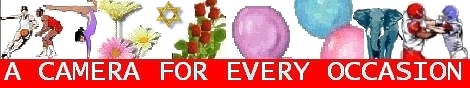 americanreportersbanner